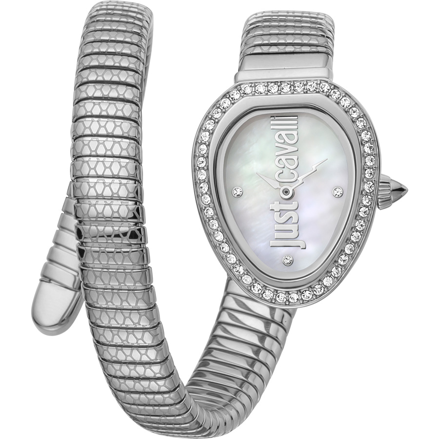 Часы Just Cavalli JC Solo JC1L167M0015